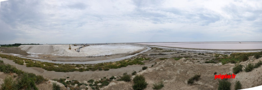 salin du midi
